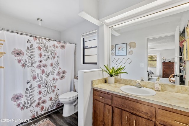 bathroom featuring vanity, wood-type flooring, and toilet