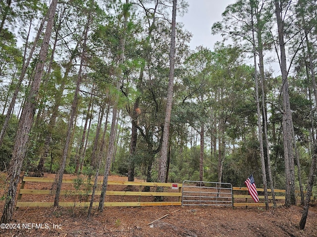 215 NE Blvd, Georgetown FL, 32139 land for sale