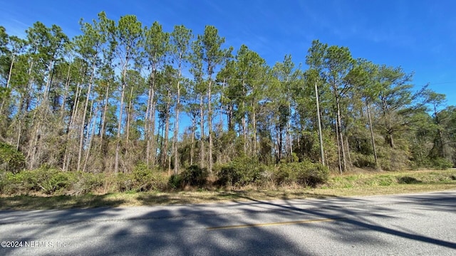 4430 Cedar Ford Blvd, Hastings FL, 32145 land for sale