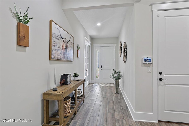 foyer entrance featuring dark hardwood / wood-style floors