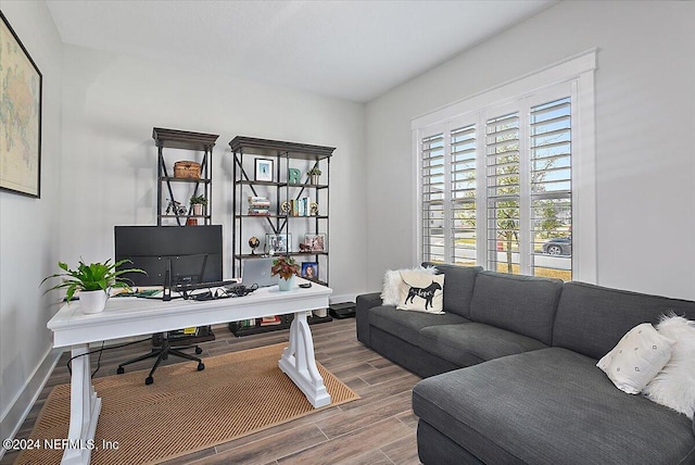 home office featuring hardwood / wood-style floors