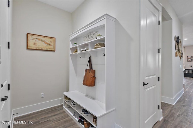 mudroom with dark wood-type flooring