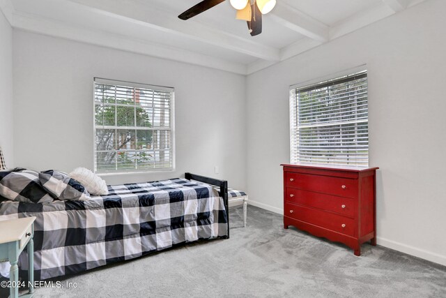 29 Nelmar Ave, Saint Augustine, FL 32084 - photo 35