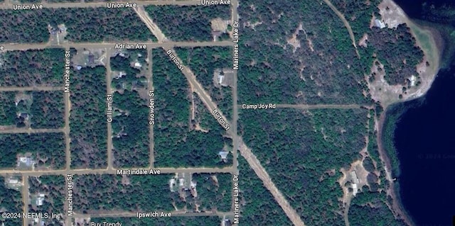 0 Burton St, Interlachen FL, 32148 land for sale