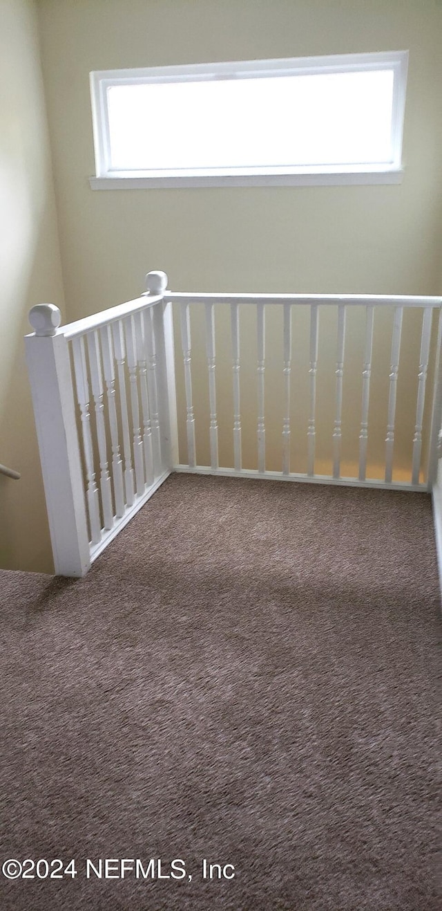 stairway featuring plenty of natural light and carpet flooring