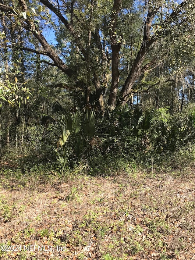 0 Kin St, Interlachen FL, 32148 land for sale