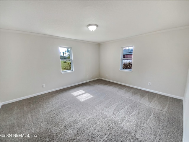 spare room with ornamental molding and light colored carpet