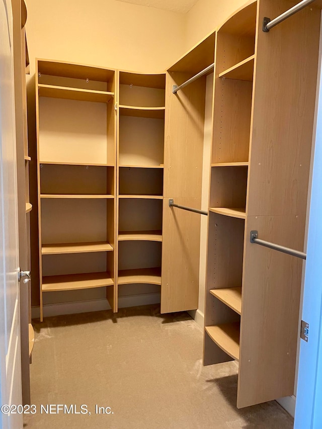 spacious closet featuring carpet floors