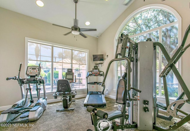 gym with carpet, ceiling fan, and vaulted ceiling