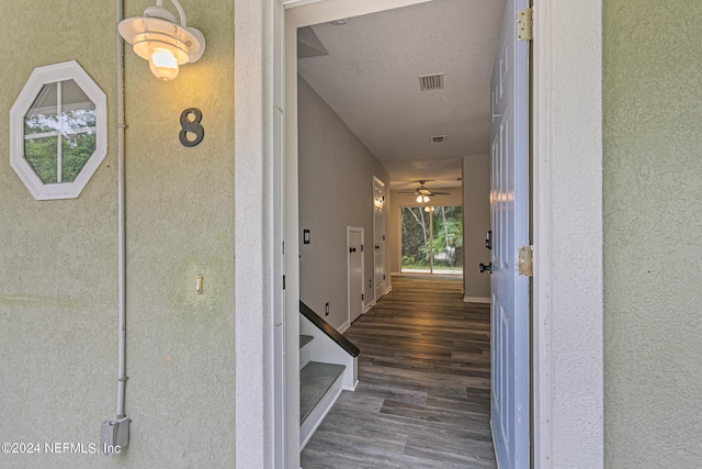 corridor featuring plenty of natural light, dark hardwood / wood-style flooring, and a textured ceiling