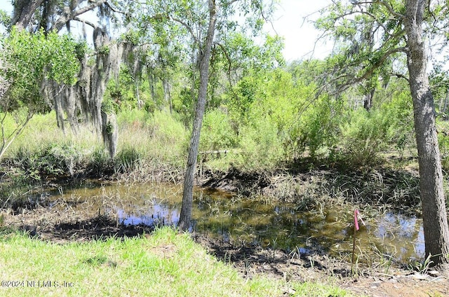 view of local wilderness with a water view