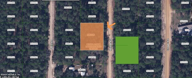 0 Norman Ave, Interlachen FL, 32148 land for sale