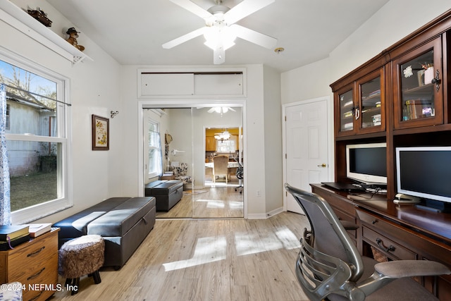 office space with plenty of natural light, ceiling fan, and light wood-type flooring