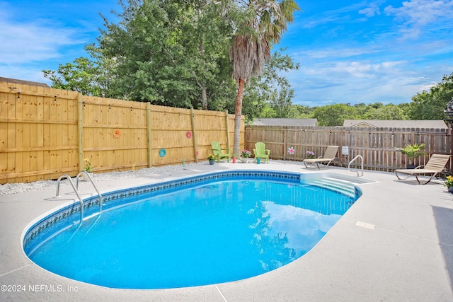 view of swimming pool featuring a patio area