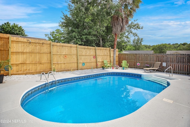 view of pool featuring a patio