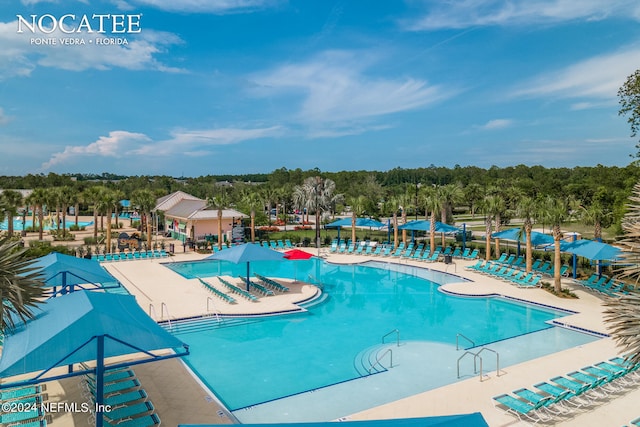 view of swimming pool with a patio