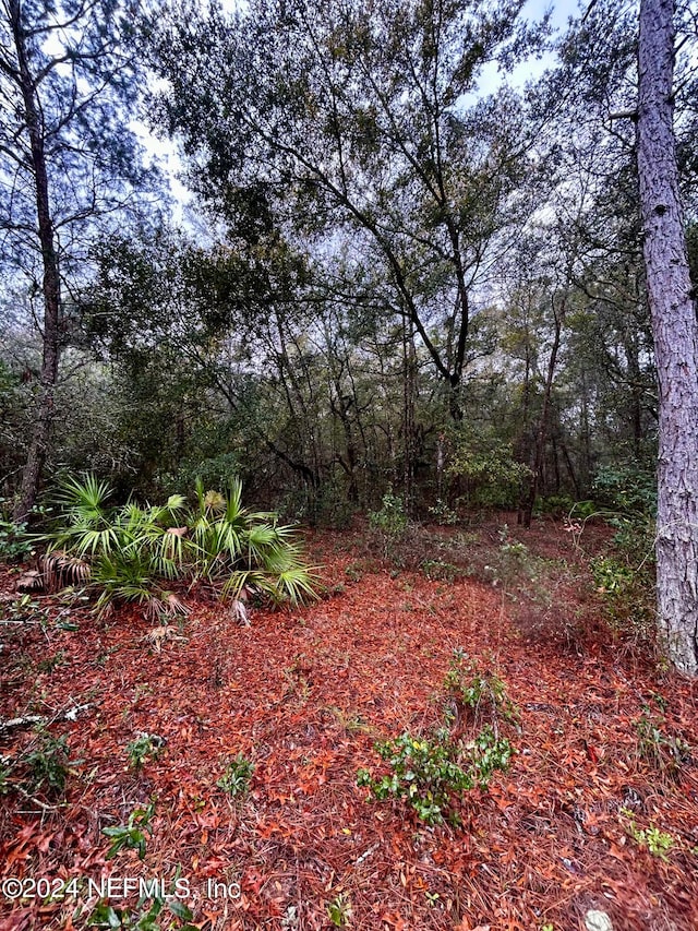 Listing photo 2 for 3651 County Road 218, Middleburg FL 32068