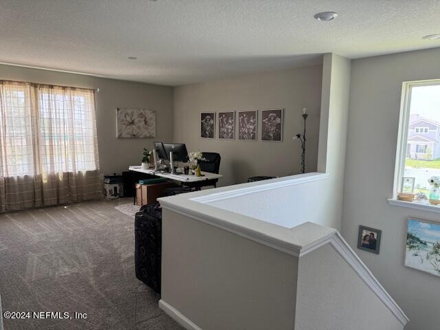 office space featuring a wealth of natural light, a textured ceiling, and carpet flooring