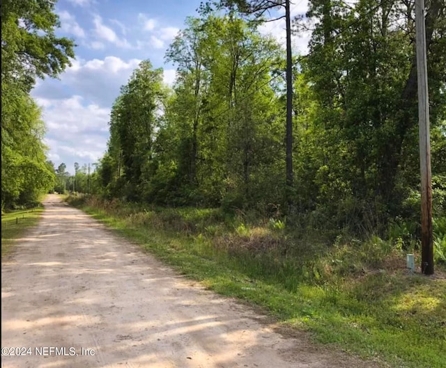 4091 Als Satch Rd, Middleburg FL, 32068 land for sale