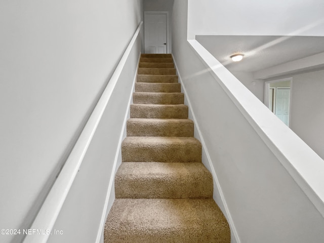 stairway with carpet flooring