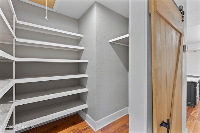 spacious closet with wood-type flooring