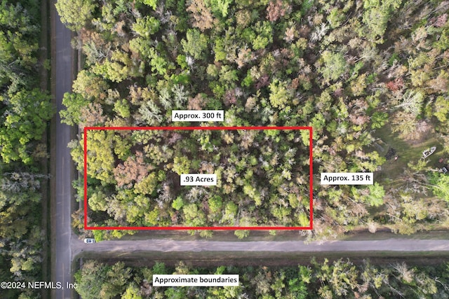 10550 Turpin Ave, Hastings FL, 32145 land for sale