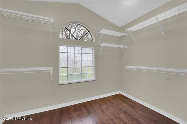 spacious closet with wood-type flooring and vaulted ceiling