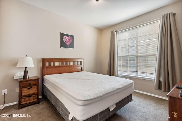 view of carpeted bedroom