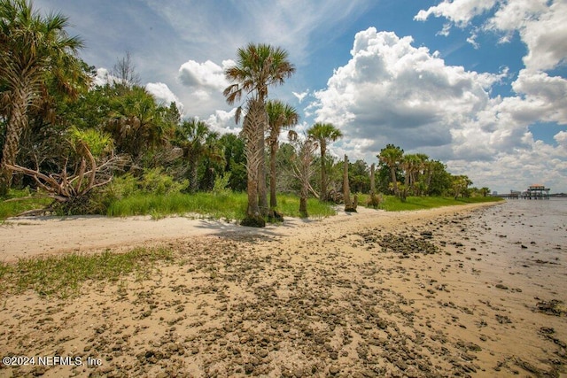0 University Blvd N, Jacksonville, FL 32277 - photo 5