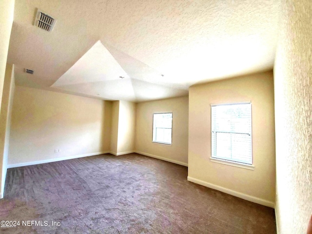 unfurnished room featuring lofted ceiling, a textured ceiling, and carpet