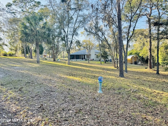 view of yard featuring a storage shed