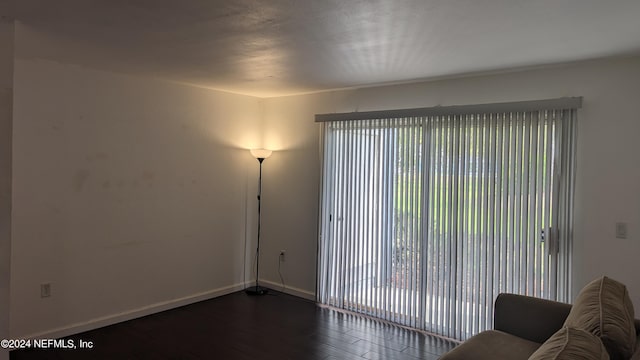 interior space with dark hardwood / wood-style floors and a wealth of natural light