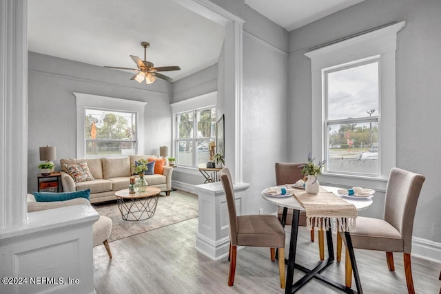 dining room with light hardwood / wood-style floors and ceiling fan