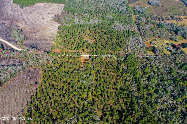 LOT10 NW Josephine St, Lake City, FL 32055 - photo 4
