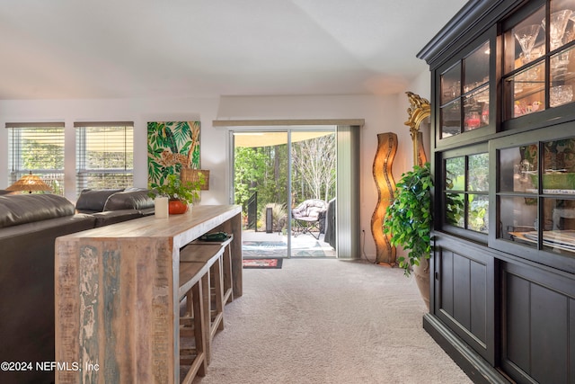 interior space featuring carpet and a healthy amount of sunlight