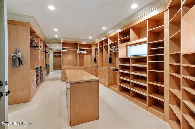 view of spacious closet