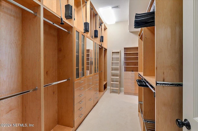 1201 Ponte Vedra Blvd, Ponte Vedra Beach, FL 32082 - spacious closet featuring visible vents and light carpet