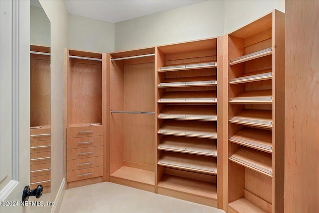 1201 Ponte Vedra Blvd, Ponte Vedra Beach, FL 32082 - view of walk in closet