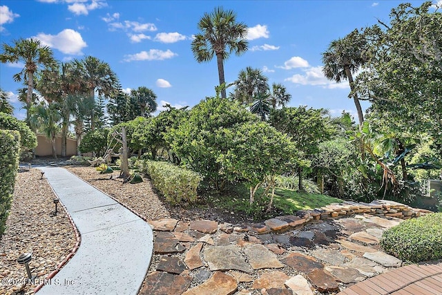 1201 Ponte Vedra Blvd, Ponte Vedra Beach, FL 32082 - view of yard