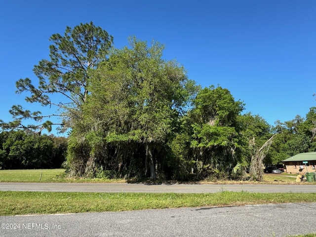 167 Putnam County Blvd, East Palatka FL, 32131 land for sale