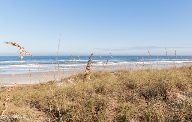 water view featuring a beach view