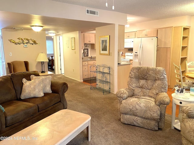 carpeted living room featuring a textured ceiling and sink