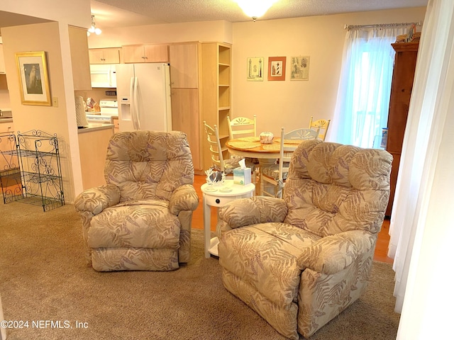 sitting room with carpet floors and a textured ceiling