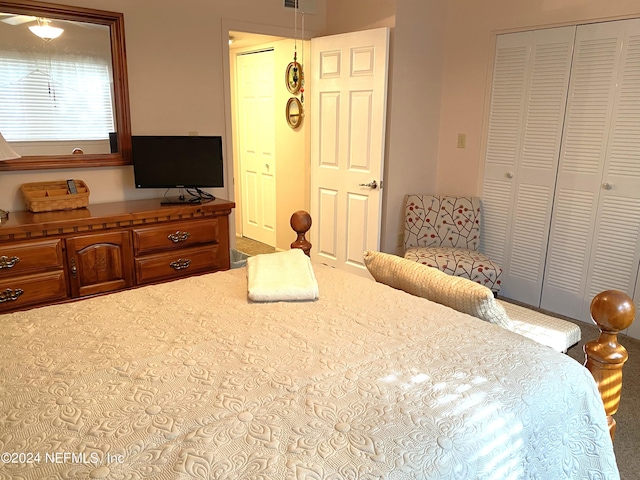 bedroom with a closet