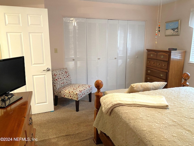 carpeted bedroom featuring a closet