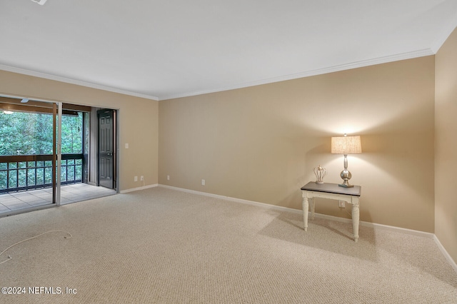 carpeted spare room featuring ornamental molding