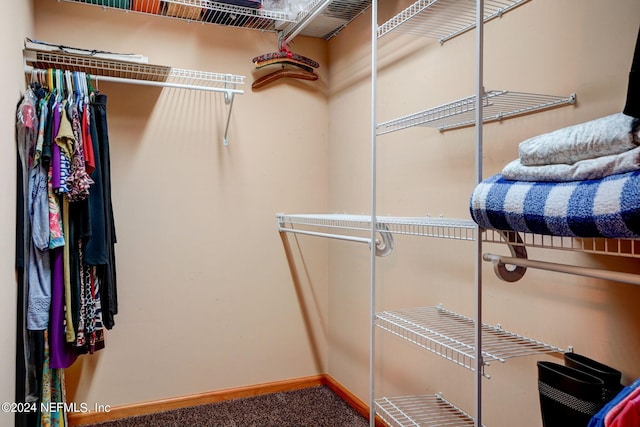 spacious closet with carpet