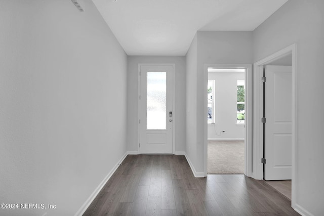 entrance foyer with dark hardwood / wood-style floors