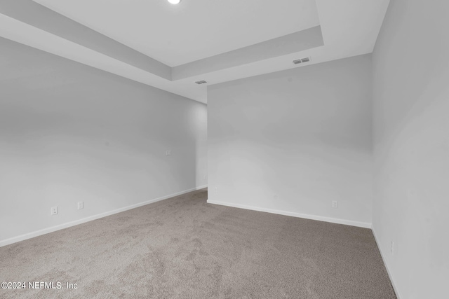 carpeted spare room featuring a raised ceiling