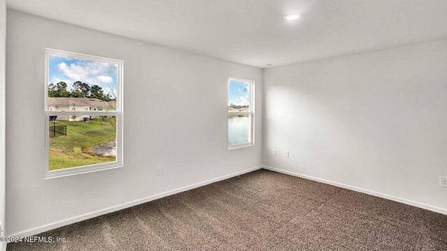 carpeted empty room featuring a healthy amount of sunlight